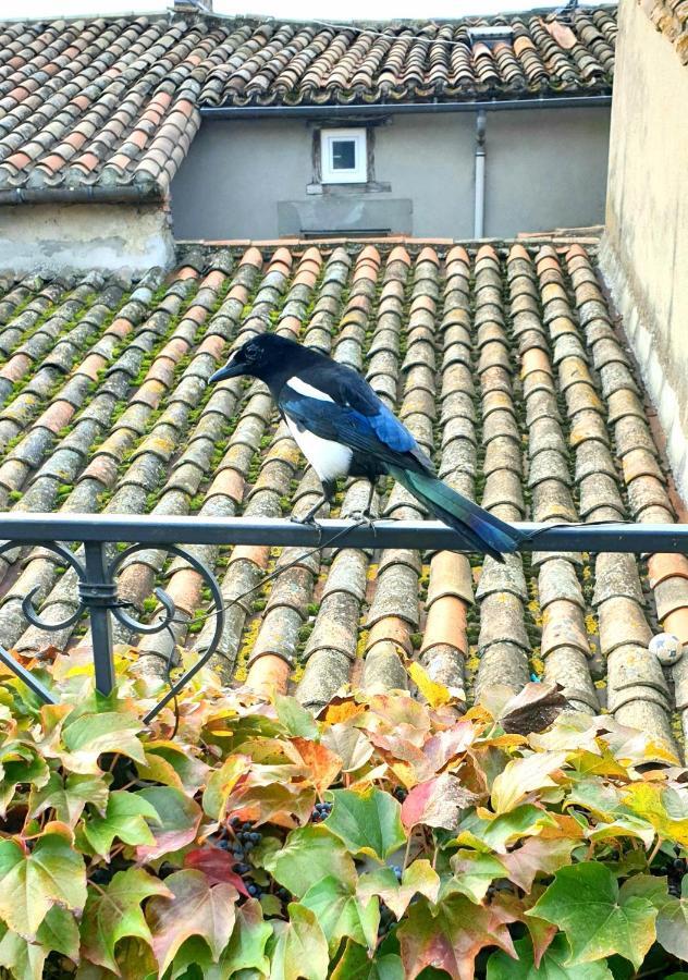 Maison De Maître à # Jacuzzi * Bram